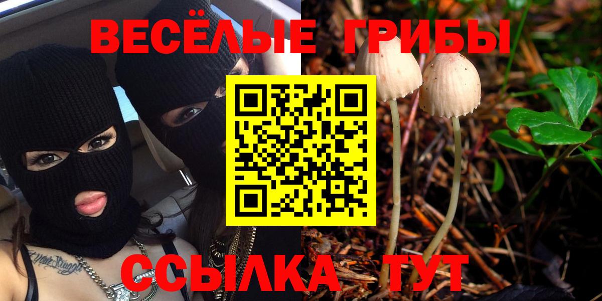 Геленджик  Псилоцибиновые грибы Cubensis  Псилоцибиновые грибы GOLDEN TEACHER  Вход с VPN 