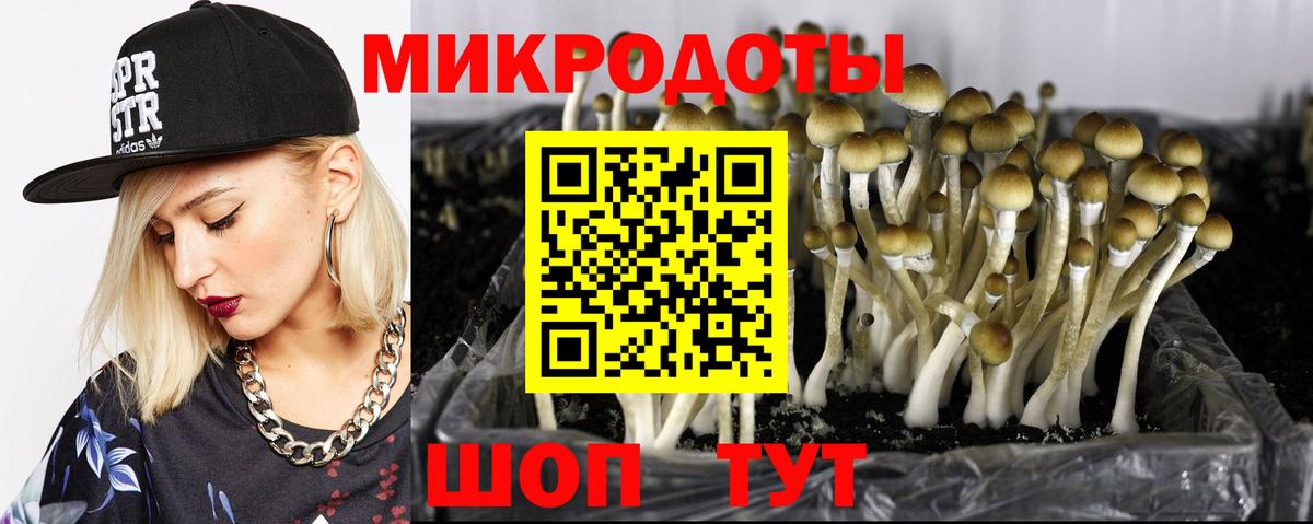 Галлюциногенные грибы Magic Shrooms Геленджик